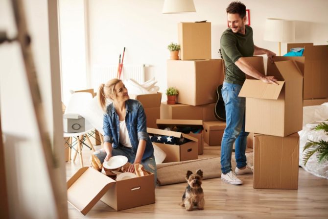 Moving house with a dog