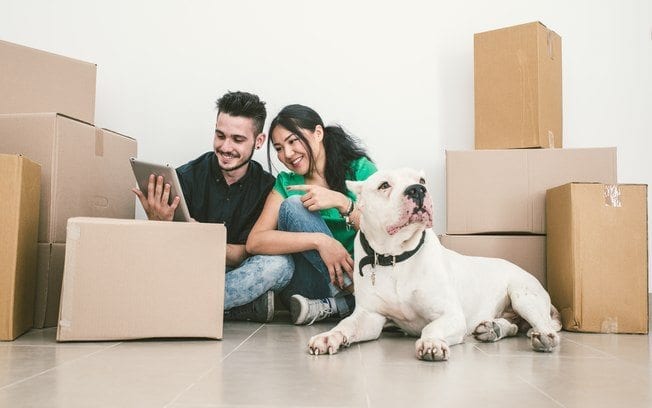  moving company quotes - moving house with a dog