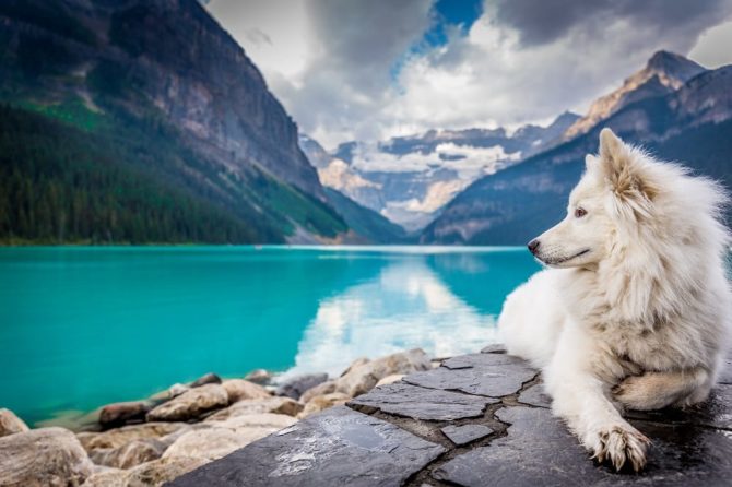 relocation to Canada